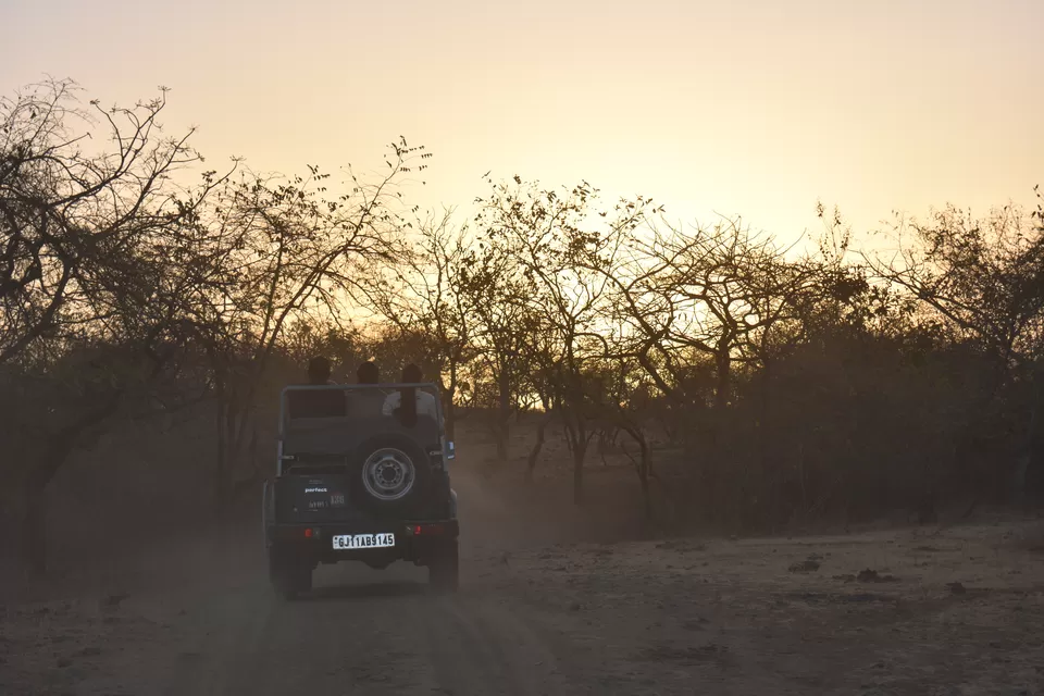 Photo of Sasan Gir, Gujarat, India by Devashree Ashara