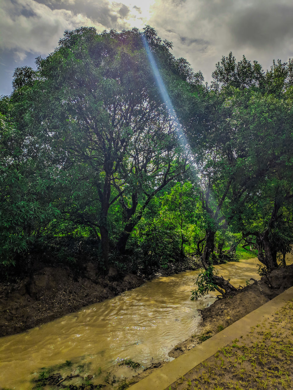 Photo of Rafting through the Whitewaters of Dandeli...! by Archun Samy