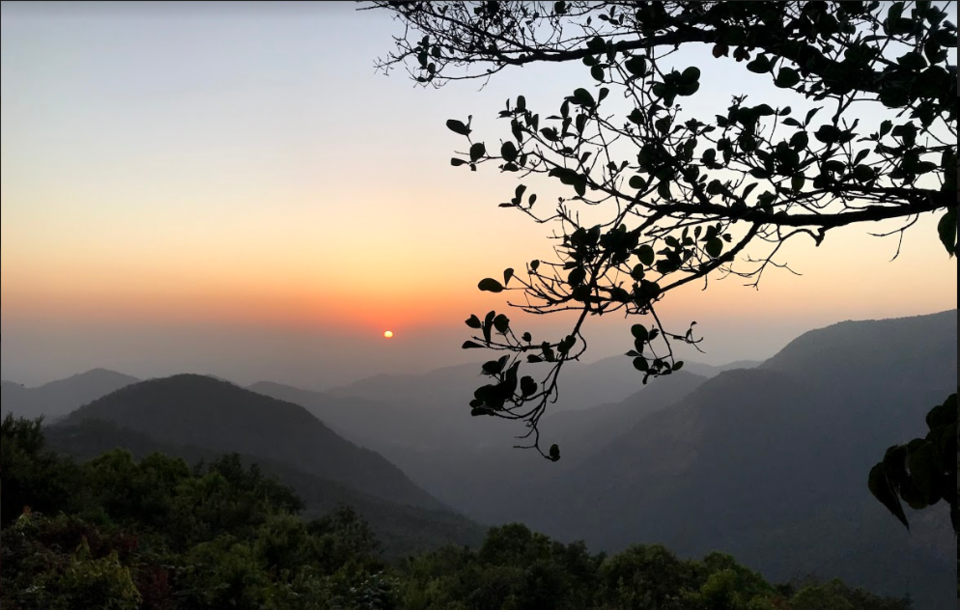 Photo of HIDDEN PARADISE IN GOA : THE WILDERNEST NATURE RESORT by shivani kushwah