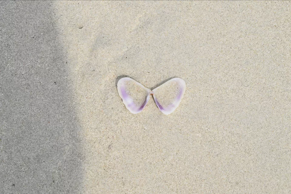 Photo of Radhanagar Beach, Andaman and Nicobar Islands by La Vie en Rose
