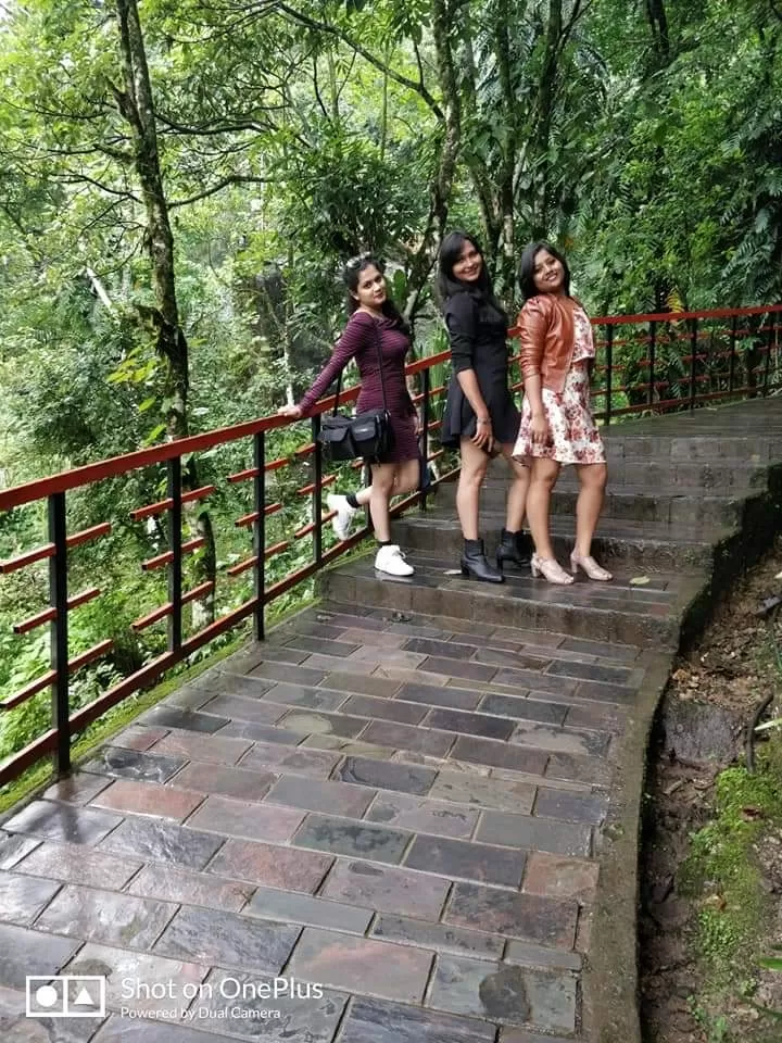 Photo of Banjhakri Falls and Park, Gangtok, Sikkim, India by La Vie en Rose 