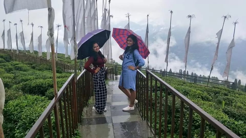 Photo of Temi Tea Garden, Sikkim, India by La Vie en Rose 