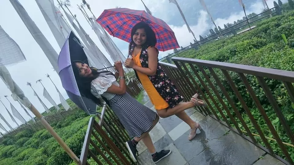 Photo of Temi Tea Garden, Sikkim, India by La Vie en Rose 