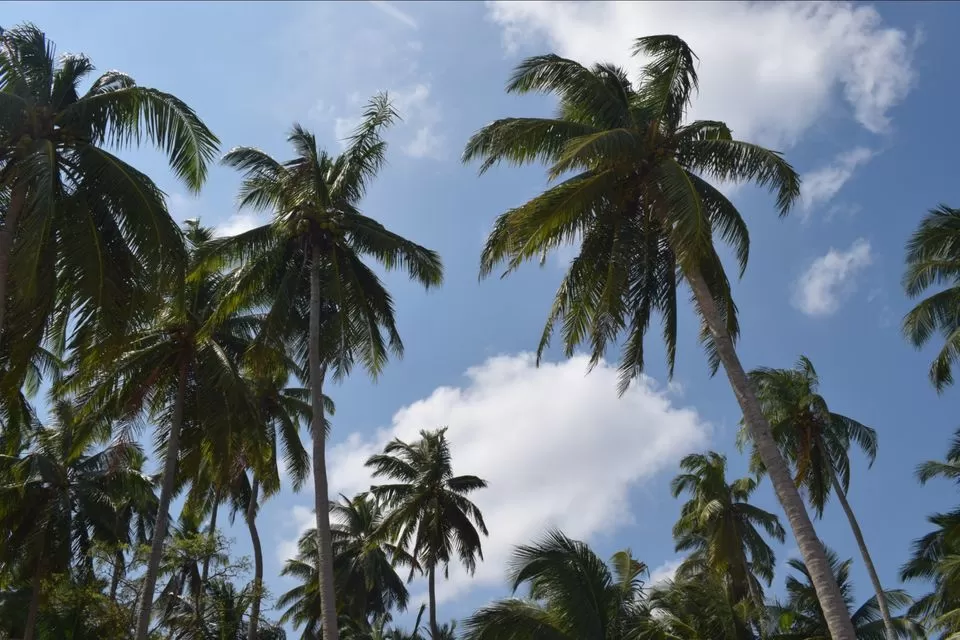 Photo of Andamans by La Vie en Rose