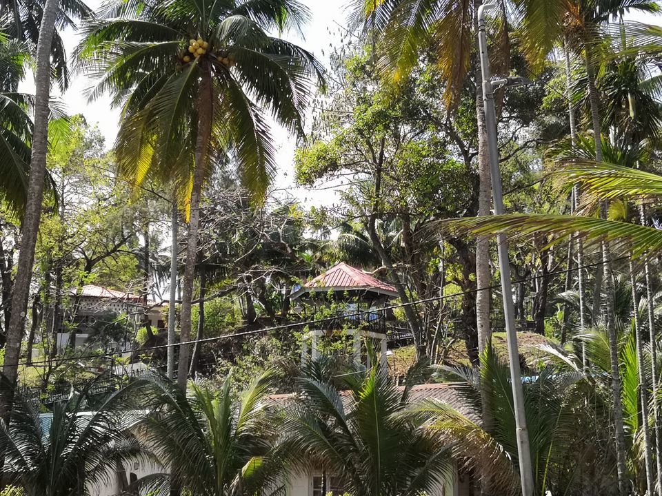 Photo of Andamans by La Vie en Rose
