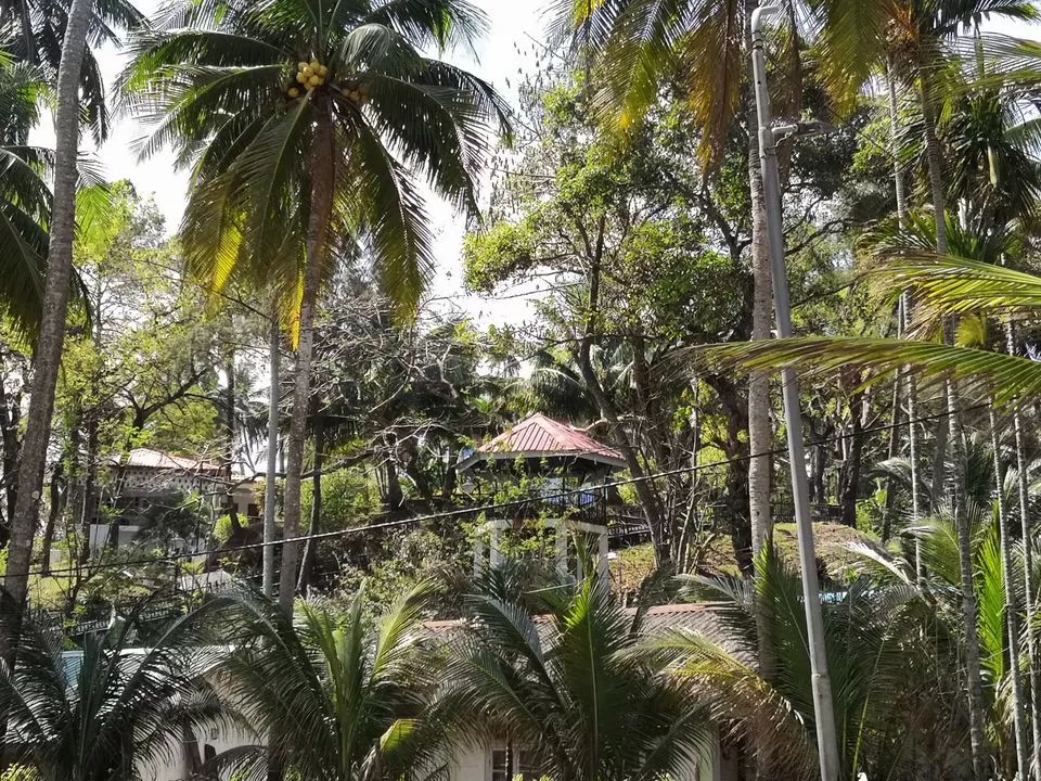 Photo of Andamans by La Vie en Rose