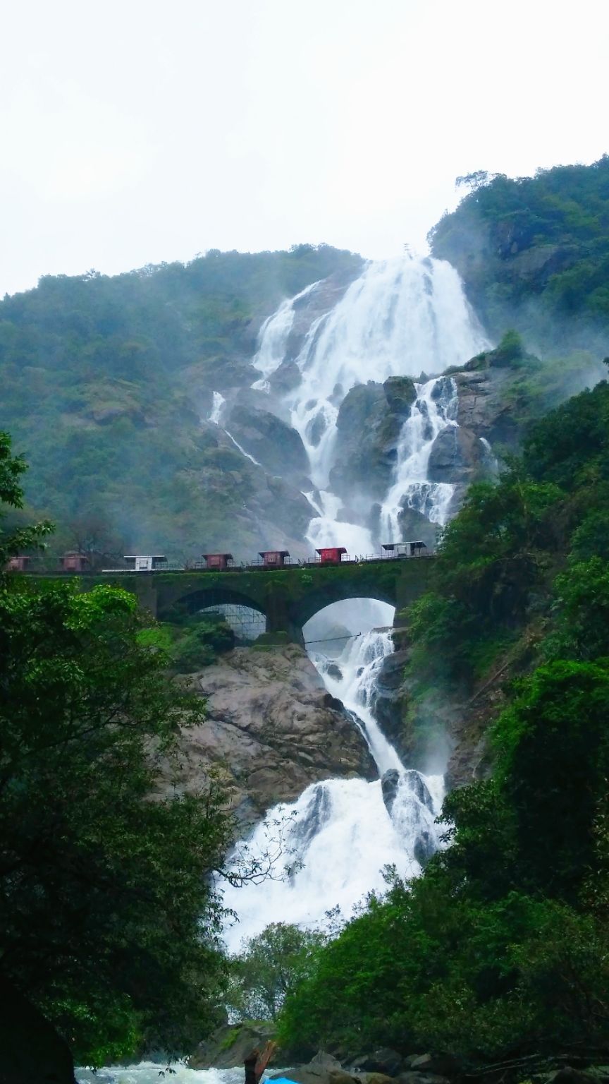Photo of Dudhsagar Falls, Sonaulim, Goa, India by Vishal Shukla