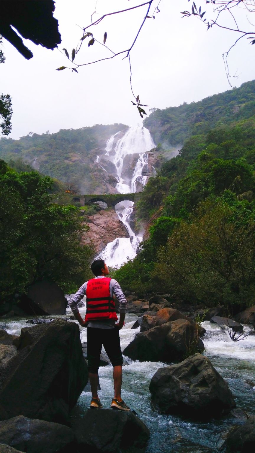 Photo of Dudhsagar Falls, Sonaulim, Goa, India by Vishal Shukla
