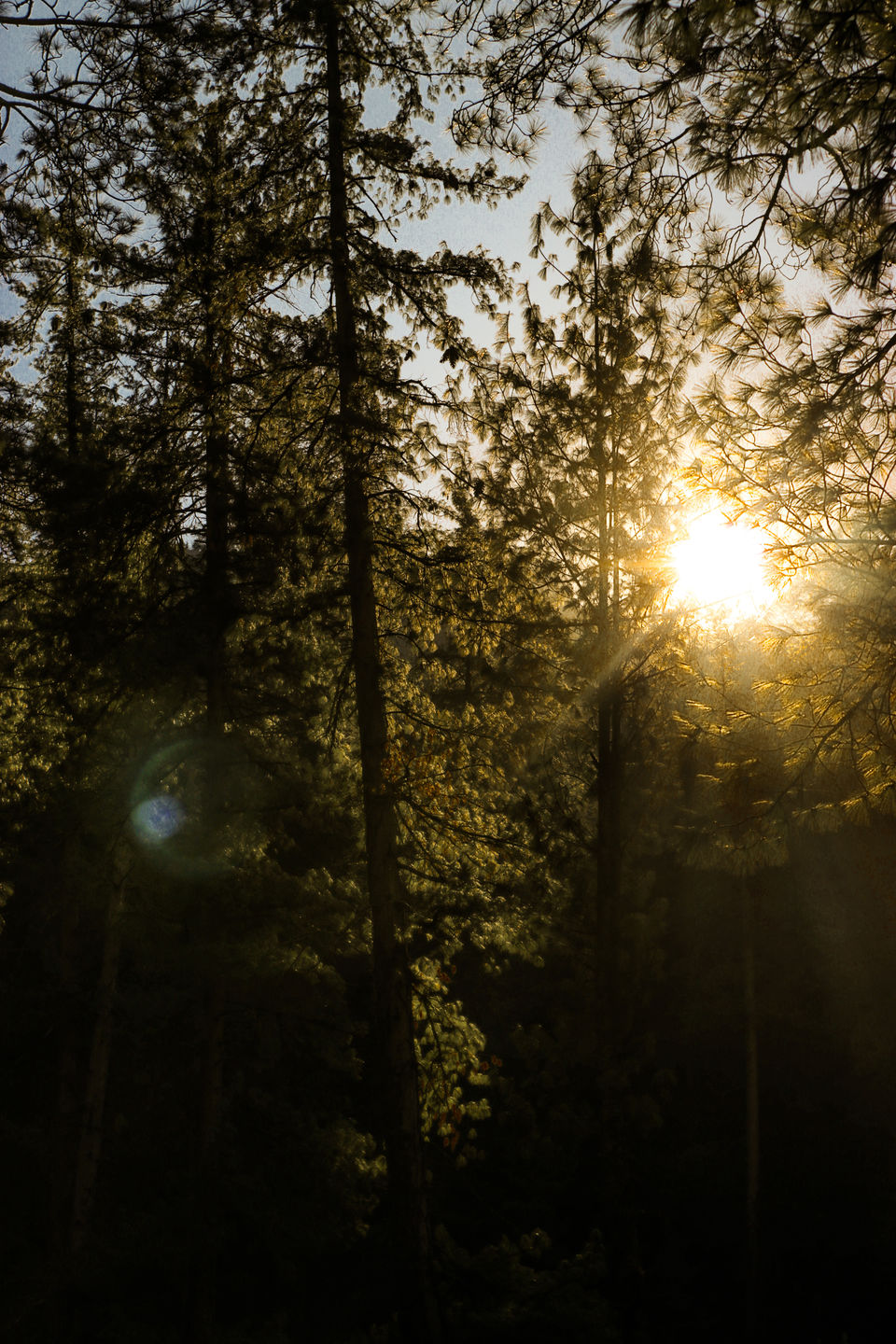 Photo of Kasol, Himachal Pradesh, India by anas iqbal