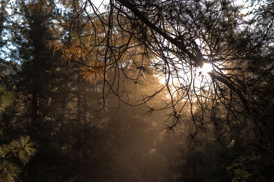 Photo of Kasol, Himachal Pradesh, India by anas iqbal