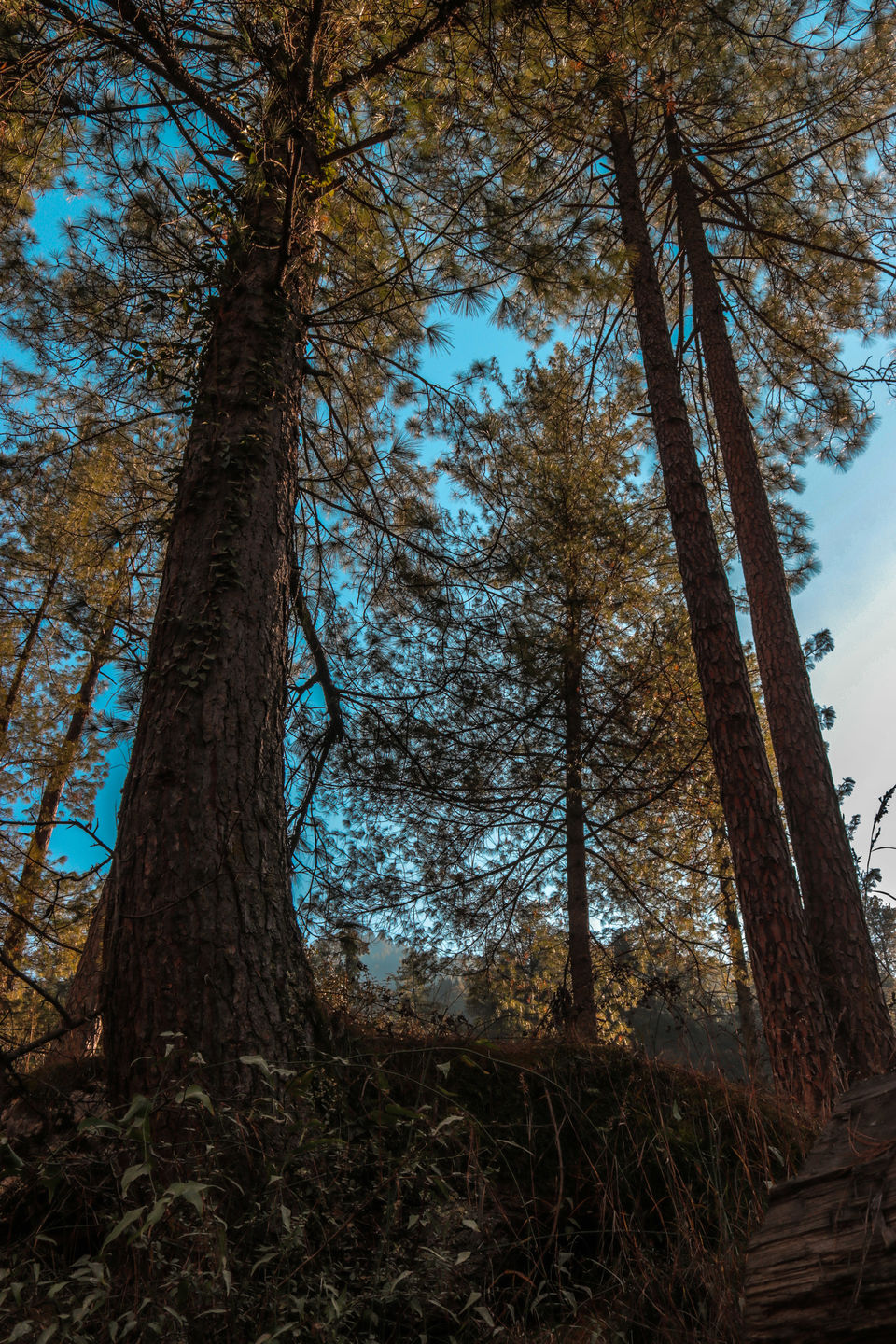 Photo of Kasol, Himachal Pradesh, India by anas iqbal