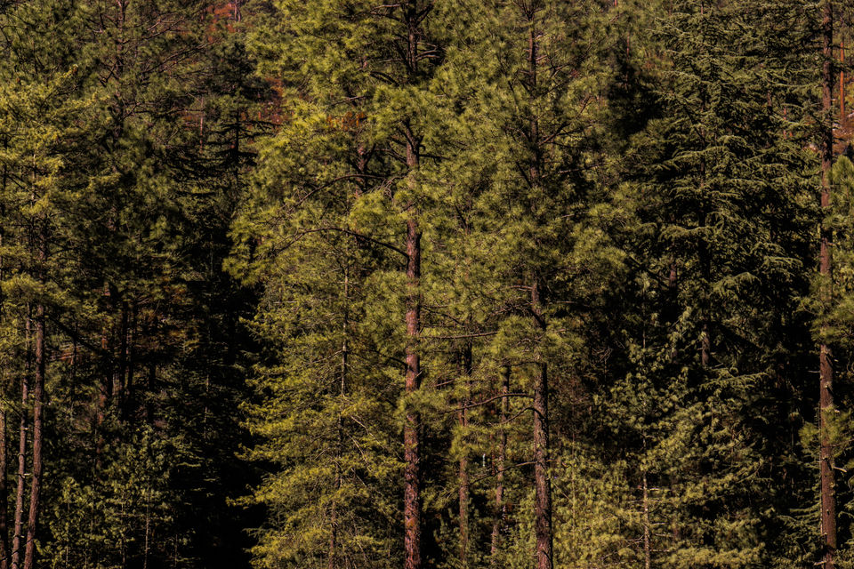 Photo of Kasol, Himachal Pradesh, India by anas iqbal