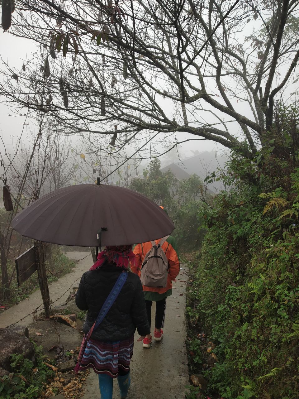 Photo of Backpacking Vietnam Solo for the First Time #TravelOnAClock by Trisha Singhal