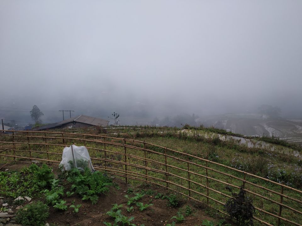 Photo of Backpacking Vietnam Solo for the First Time #TravelOnAClock by Trisha Singhal