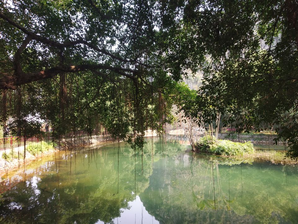 Photo of Ninh Bình, Ninh Bình Province, Vietnam by Trisha Singhal