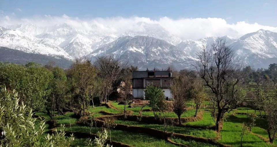 Photo of Dharamshala, Himachal Pradesh, India by Mallika Shekhar