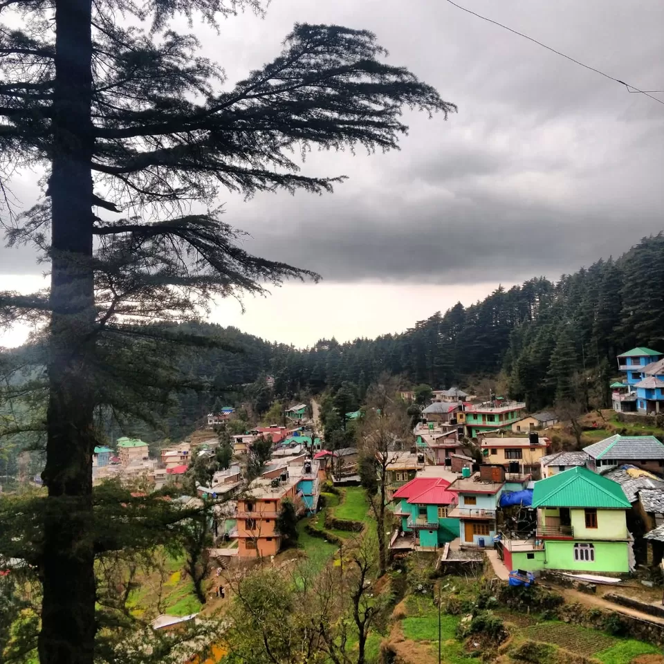 Photo of Dharamkot, Dharamshala, Himachal Pradesh, India by Mallika Shekhar
