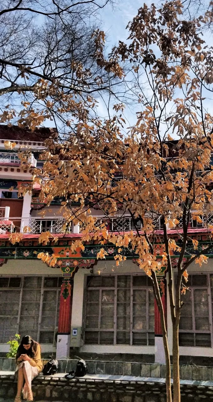 Photo of Norbulingka Institute, Sidhpur, Himachal Pradesh, India by Mallika Shekhar