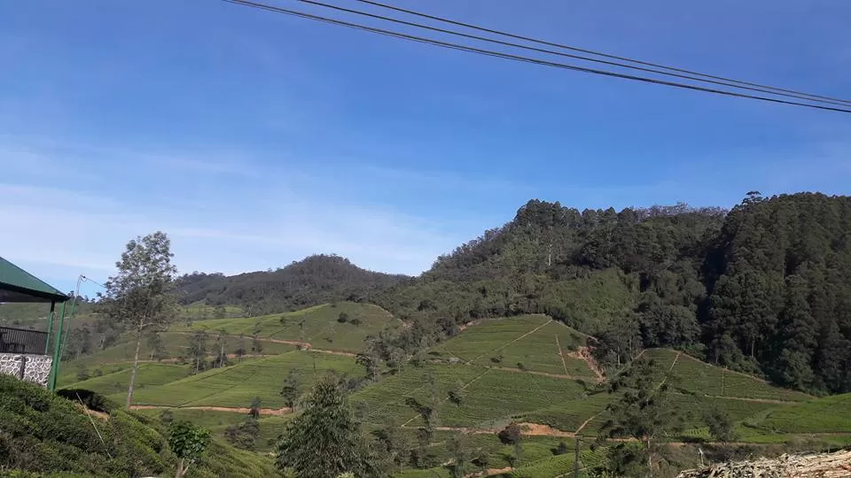 Photo of Kandy, Sri Lanka by pallavi rangavajhala
