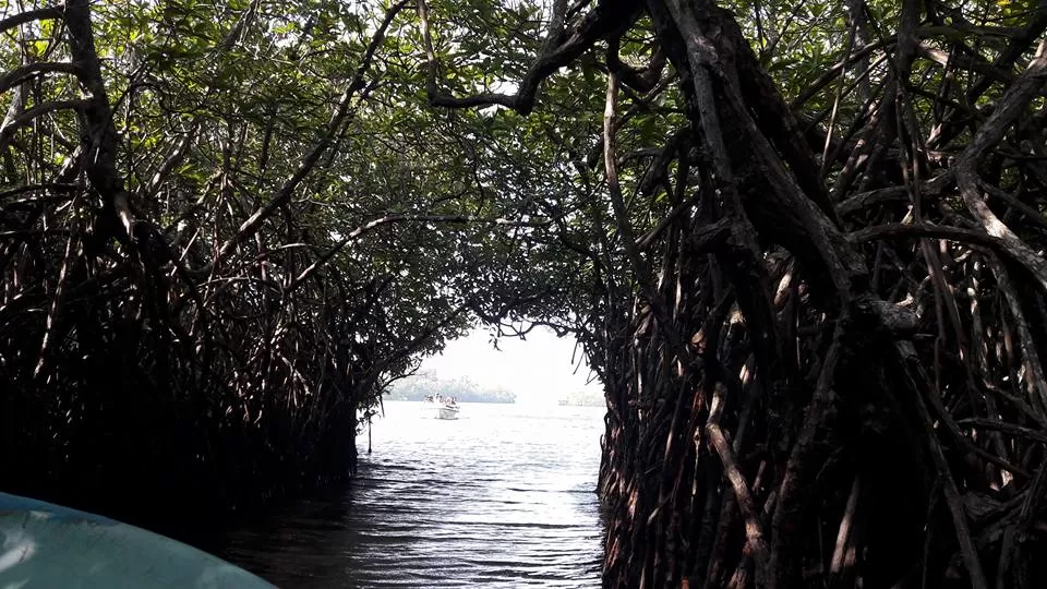 Photo of Cinnamon Island, Galle, Sri Lanka by pallavi rangavajhala