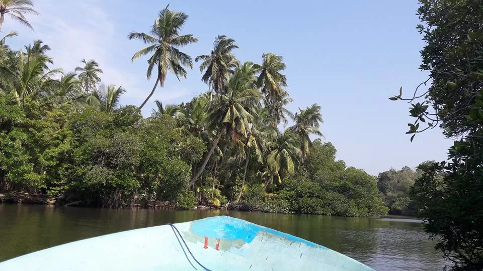 Photo of Cinnamon Island, Galle, Sri Lanka by pallavi rangavajhala