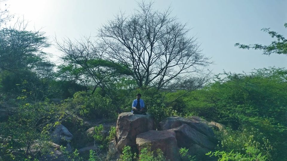 Photo of You can get high for free here! 1/6 by Siddharth Varma