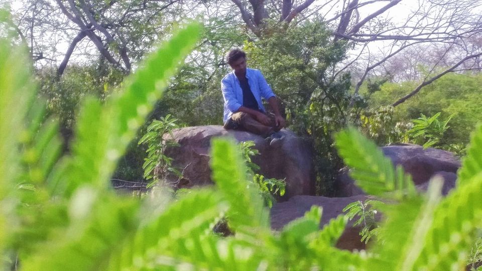 Photo of You can get high for free here! 3/6 by Siddharth Varma