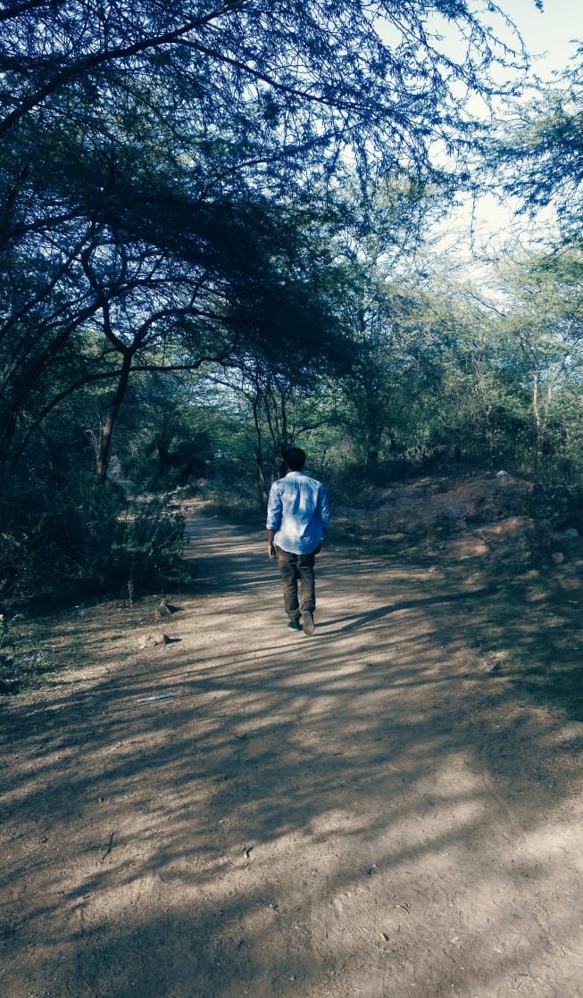 Photo of You can get high for free here! 4/6 by Siddharth Varma