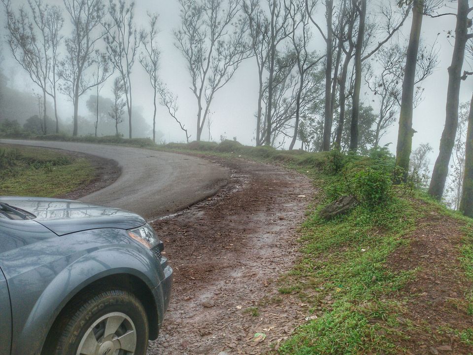 Photo of A getaway to the misty lands 14/17 by Rohit Dinesh