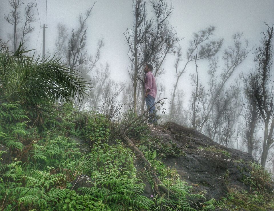 Photo of A getaway to the misty lands 16/17 by Rohit Dinesh