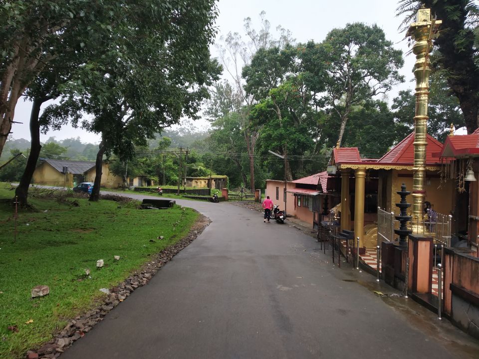 Photo of Thekkady, Kumily, Kerala, India by Wasim Rahman Z