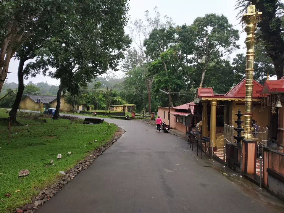 Photo of Thekkady, Kumily, Kerala, India by Wasim Rahman Z