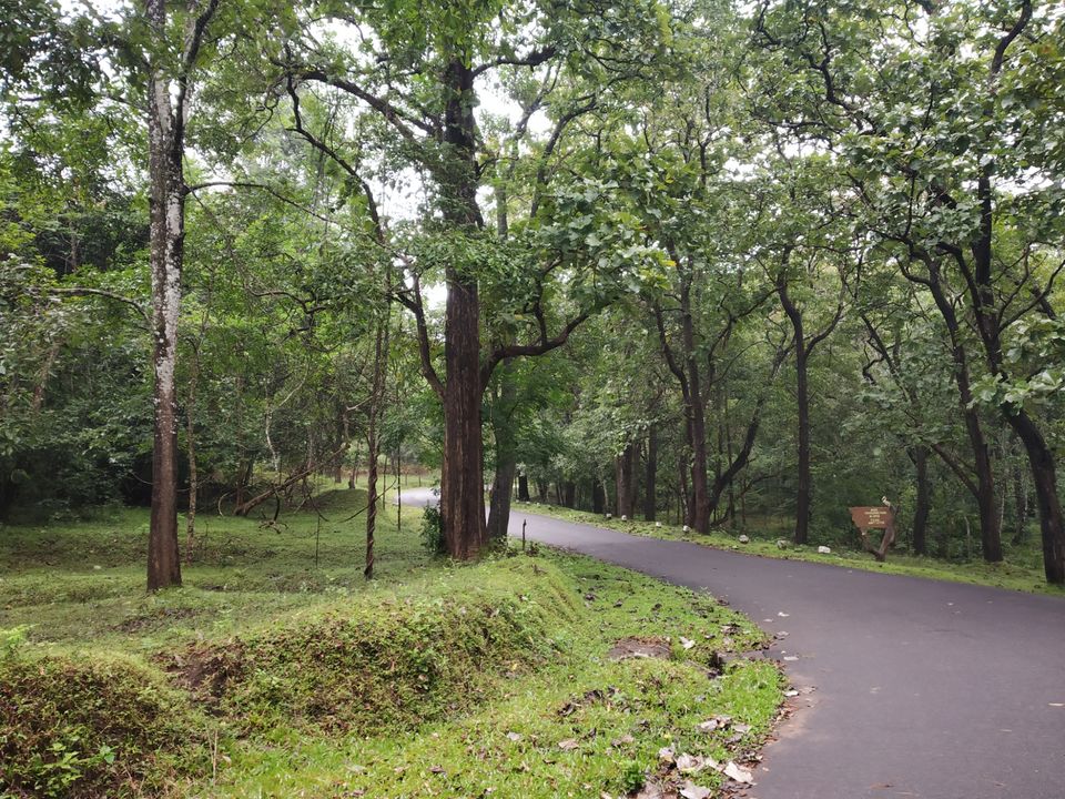 Photo of Thekkady, Kumily, Kerala, India by Wasim Rahman Z