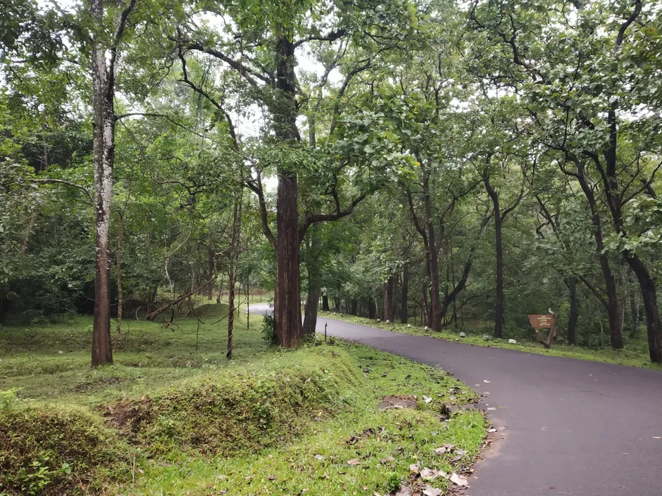 Photo of Thekkady, Kumily, Kerala, India by Wasim Rahman Z