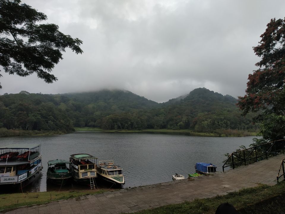 Photo of Thekkady, Kumily, Kerala, India by Wasim Rahman Z