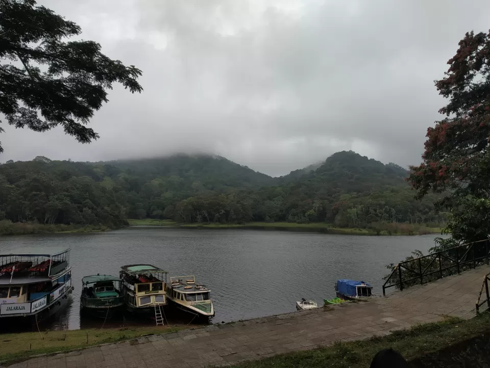 Photo of Thekkady, Kumily, Kerala, India by Wasim Rahman Z