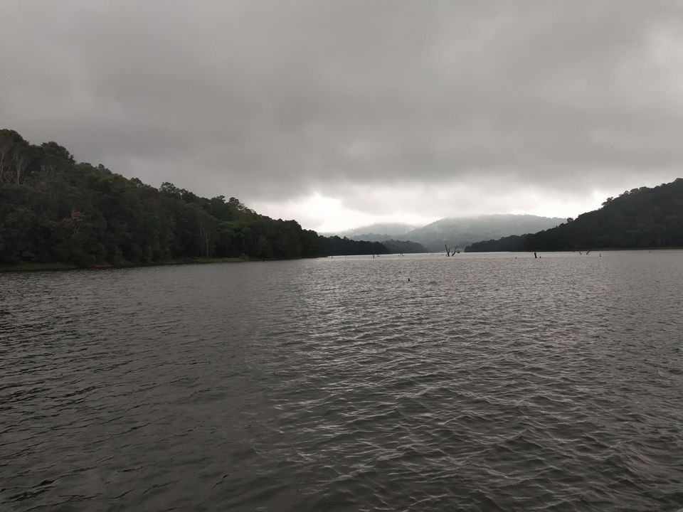 Photo of Thekkady, Kumily, Kerala, India by Wasim Rahman Z
