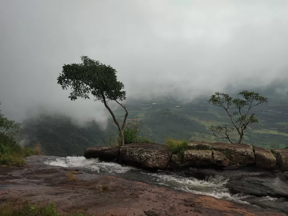 Photo of Thekkady, Kumily, Kerala, India by Wasim Rahman Z