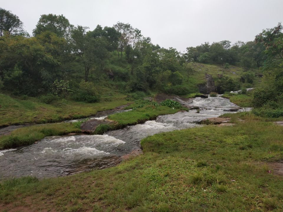 Photo of Thekkady, Kumily, Kerala, India by Wasim Rahman Z