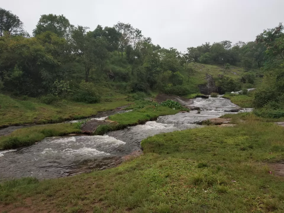 Photo of Thekkady, Kumily, Kerala, India by Wasim Rahman Z