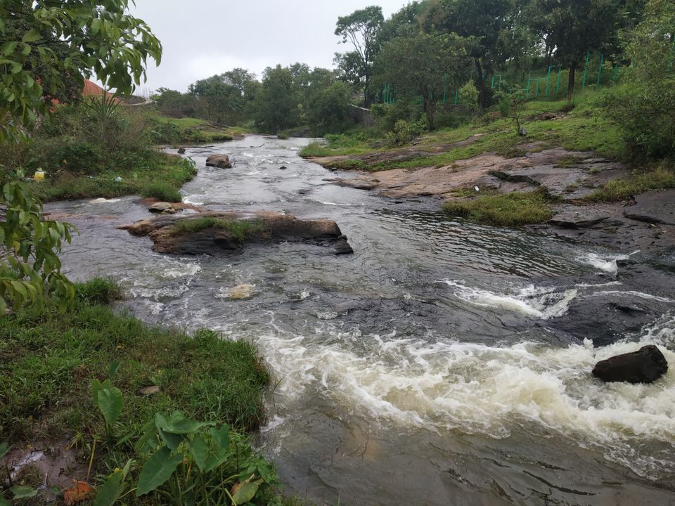 Photo of Thekkady, Kumily, Kerala, India by Wasim Rahman Z