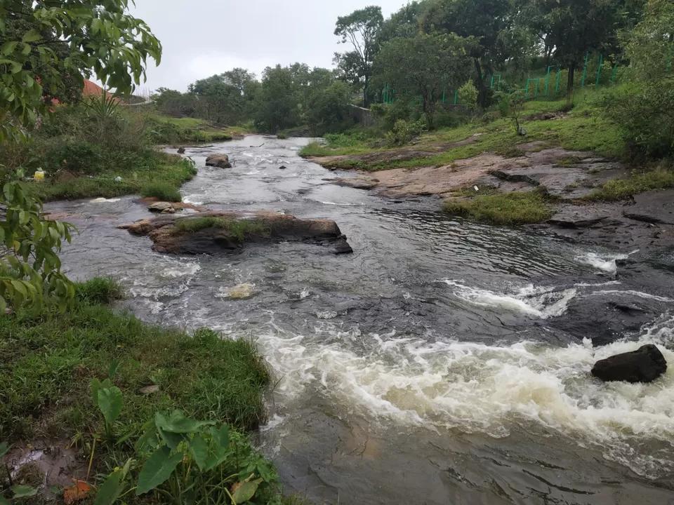 Photo of Thekkady, Kumily, Kerala, India by Wasim Rahman Z