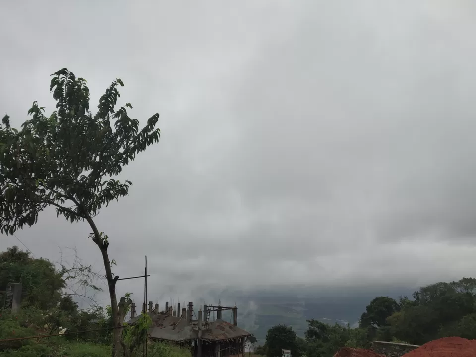 Photo of Thekkady, Kumily, Kerala, India by Wasim Rahman Z