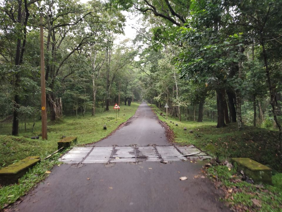 Photo of Thekkady Times #notinnorth by Wasim Rahman Z