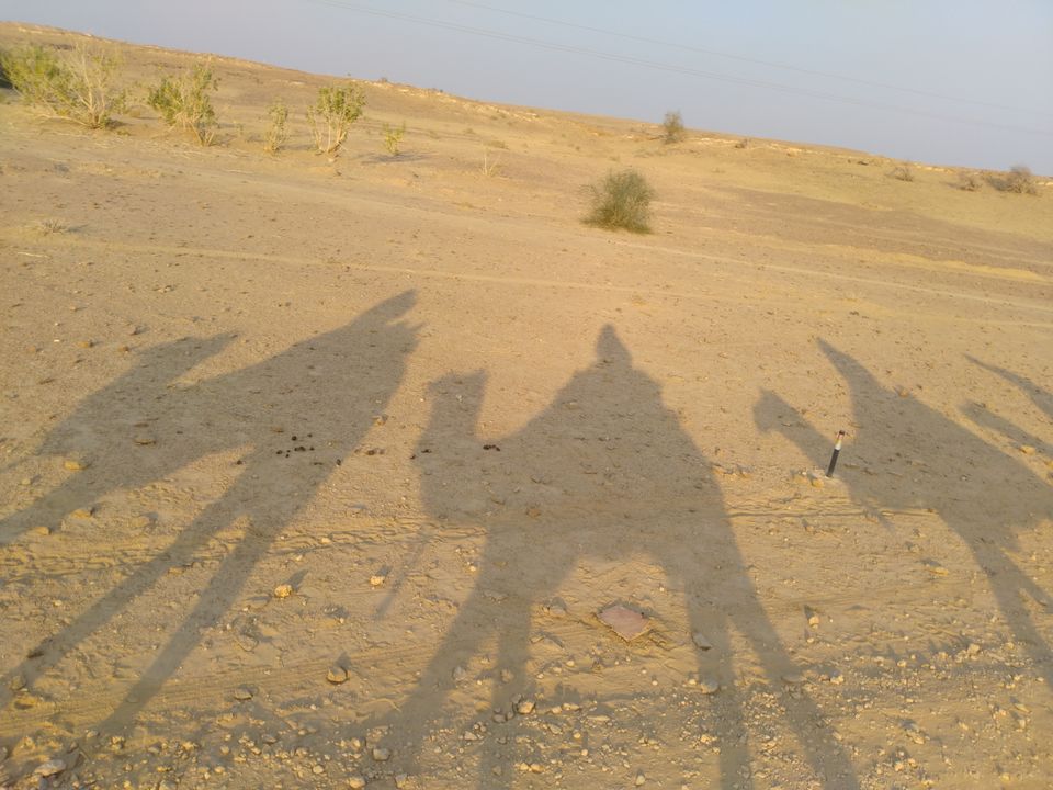Photo of Thar Desert, Rajasthan by Ias Mounika