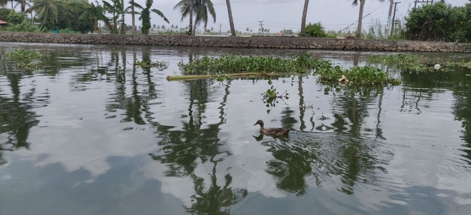 Photo of Alleppey, Kerala, India by Neha NV