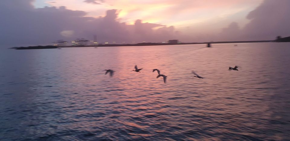 Photo of Cochin, Kerala, India by Neha NV