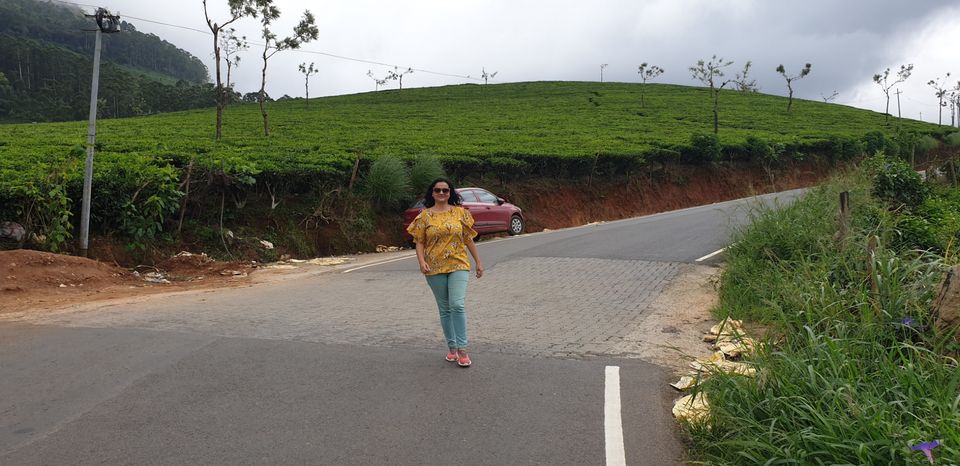 Photo of Thekkady, Kerala, India by Neha NV