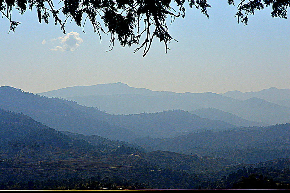 Photo of A walk to Katarmal 5/6 by Nikita