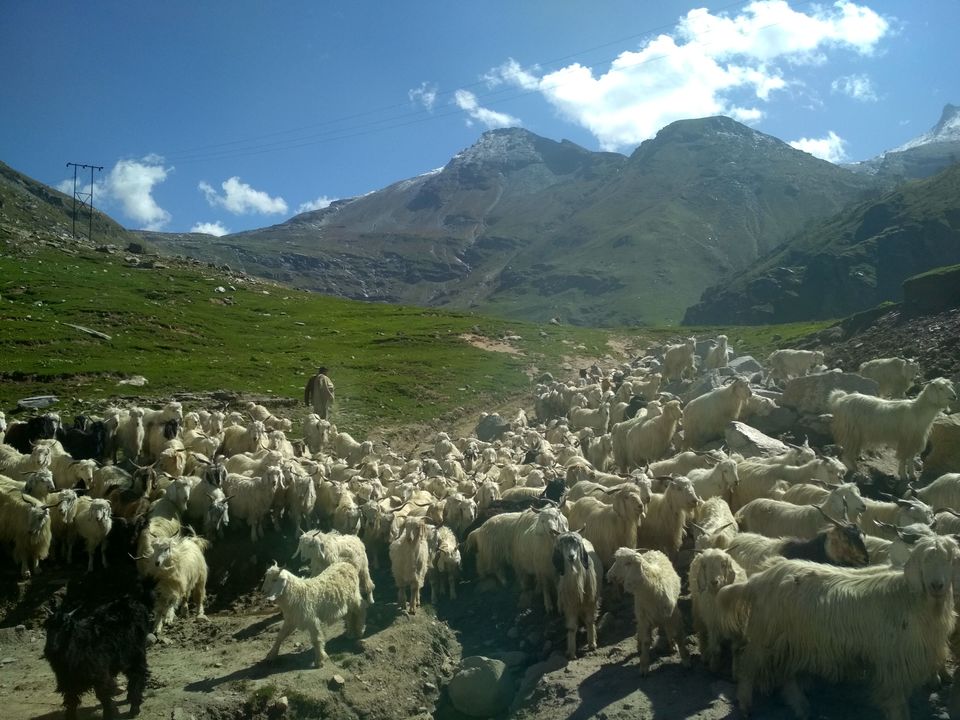 Photo of Beyond Rohtang Pass - Lahaul. 1/23 by Nikita